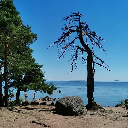 Kotkan Festarimajoitus 24h7d Check In Camping Kotka